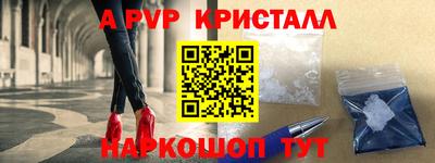 эйфоретик Малгобек