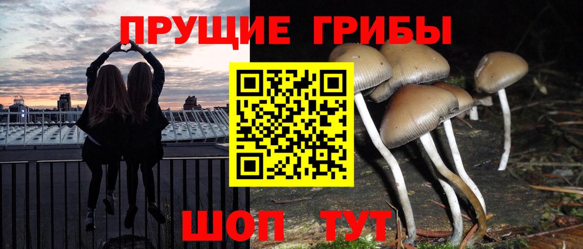 Галлюциногенные грибы Psilocybe  Вход с VPN  Ханты-Мансийск 